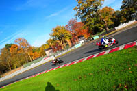 enduro-digital-images;event-digital-images;eventdigitalimages;no-limits-trackdays;oulton-no-limits-trackday;oulton-park-cheshire;oulton-trackday-photographs;peter-wileman-photography;racing-digital-images;trackday-digital-images;trackday-photos