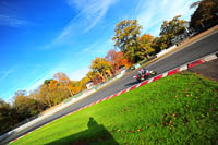 enduro-digital-images;event-digital-images;eventdigitalimages;no-limits-trackdays;oulton-no-limits-trackday;oulton-park-cheshire;oulton-trackday-photographs;peter-wileman-photography;racing-digital-images;trackday-digital-images;trackday-photos