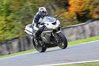 enduro-digital-images;event-digital-images;eventdigitalimages;no-limits-trackdays;oulton-no-limits-trackday;oulton-park-cheshire;oulton-trackday-photographs;peter-wileman-photography;racing-digital-images;trackday-digital-images;trackday-photos