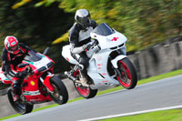 enduro-digital-images;event-digital-images;eventdigitalimages;no-limits-trackdays;oulton-no-limits-trackday;oulton-park-cheshire;oulton-trackday-photographs;peter-wileman-photography;racing-digital-images;trackday-digital-images;trackday-photos