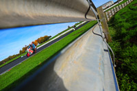 enduro-digital-images;event-digital-images;eventdigitalimages;no-limits-trackdays;oulton-no-limits-trackday;oulton-park-cheshire;oulton-trackday-photographs;peter-wileman-photography;racing-digital-images;trackday-digital-images;trackday-photos