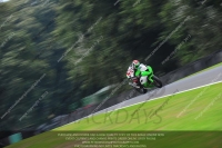 Fast Green/Yellow Bikes