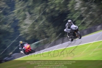 anglesey;brands-hatch;cadwell-park;croft;donington-park;enduro-digital-images;event-digital-images;eventdigitalimages;mallory;no-limits;oulton-park;peter-wileman-photography;racing-digital-images;silverstone;snetterton;trackday-digital-images;trackday-photos;vmcc-banbury-run;welsh-2-day-enduro