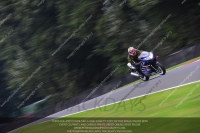 anglesey;brands-hatch;cadwell-park;croft;donington-park;enduro-digital-images;event-digital-images;eventdigitalimages;mallory;no-limits;oulton-park;peter-wileman-photography;racing-digital-images;silverstone;snetterton;trackday-digital-images;trackday-photos;vmcc-banbury-run;welsh-2-day-enduro