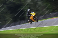 anglesey;brands-hatch;cadwell-park;croft;donington-park;enduro-digital-images;event-digital-images;eventdigitalimages;mallory;no-limits;oulton-park;peter-wileman-photography;racing-digital-images;silverstone;snetterton;trackday-digital-images;trackday-photos;vmcc-banbury-run;welsh-2-day-enduro