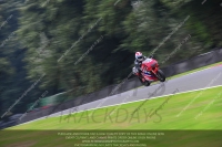 anglesey;brands-hatch;cadwell-park;croft;donington-park;enduro-digital-images;event-digital-images;eventdigitalimages;mallory;no-limits;oulton-park;peter-wileman-photography;racing-digital-images;silverstone;snetterton;trackday-digital-images;trackday-photos;vmcc-banbury-run;welsh-2-day-enduro