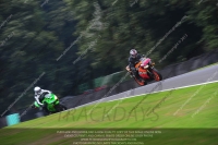 anglesey;brands-hatch;cadwell-park;croft;donington-park;enduro-digital-images;event-digital-images;eventdigitalimages;mallory;no-limits;oulton-park;peter-wileman-photography;racing-digital-images;silverstone;snetterton;trackday-digital-images;trackday-photos;vmcc-banbury-run;welsh-2-day-enduro