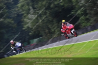 anglesey;brands-hatch;cadwell-park;croft;donington-park;enduro-digital-images;event-digital-images;eventdigitalimages;mallory;no-limits;oulton-park;peter-wileman-photography;racing-digital-images;silverstone;snetterton;trackday-digital-images;trackday-photos;vmcc-banbury-run;welsh-2-day-enduro