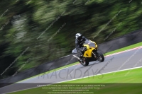 Fast Green/Yellow Bikes