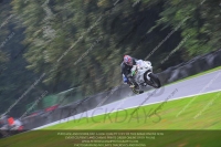 anglesey;brands-hatch;cadwell-park;croft;donington-park;enduro-digital-images;event-digital-images;eventdigitalimages;mallory;no-limits;oulton-park;peter-wileman-photography;racing-digital-images;silverstone;snetterton;trackday-digital-images;trackday-photos;vmcc-banbury-run;welsh-2-day-enduro