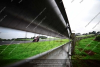 Fast Multicolour Bikes