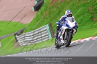 anglesey;brands-hatch;cadwell-park;croft;donington-park;enduro-digital-images;event-digital-images;eventdigitalimages;mallory;no-limits;oulton-park;peter-wileman-photography;racing-digital-images;silverstone;snetterton;trackday-digital-images;trackday-photos;vmcc-banbury-run;welsh-2-day-enduro