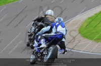 Novice Blue/White Bikes