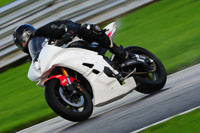 Fast /Inter Blue/White Bikes