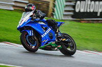 enduro-digital-images;event-digital-images;eventdigitalimages;no-limits-trackdays;oulton-no-limits-trackday;oulton-park-cheshire;oulton-trackday-photographs;peter-wileman-photography;racing-digital-images;trackday-digital-images;trackday-photos