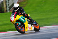 enduro-digital-images;event-digital-images;eventdigitalimages;no-limits-trackdays;oulton-no-limits-trackday;oulton-park-cheshire;oulton-trackday-photographs;peter-wileman-photography;racing-digital-images;trackday-digital-images;trackday-photos