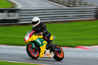 enduro-digital-images;event-digital-images;eventdigitalimages;no-limits-trackdays;oulton-no-limits-trackday;oulton-park-cheshire;oulton-trackday-photographs;peter-wileman-photography;racing-digital-images;trackday-digital-images;trackday-photos