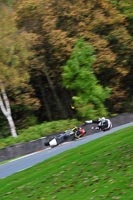 Fast/Inter Green/Yellow Bikes