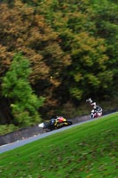 enduro-digital-images;event-digital-images;eventdigitalimages;no-limits-trackdays;oulton-no-limits-trackday;oulton-park-cheshire;oulton-trackday-photographs;peter-wileman-photography;racing-digital-images;trackday-digital-images;trackday-photos