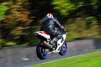 enduro-digital-images;event-digital-images;eventdigitalimages;no-limits-trackdays;oulton-no-limits-trackday;oulton-park-cheshire;oulton-trackday-photographs;peter-wileman-photography;racing-digital-images;trackday-digital-images;trackday-photos