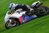 Fast Blue/White Bikes