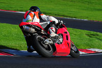 Fast Red/Orange Bikes