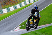 Inter Multicolour Bikes