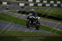 Evening Fast/Inter Black/silver Bikes