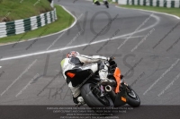 Fast Multicolour Bikes