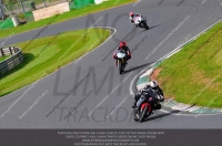 anglesey;brands-hatch;cadwell-park;croft;donington-park;enduro-digital-images;event-digital-images;eventdigitalimages;mallory;no-limits;oulton-park;peter-wileman-photography;racing-digital-images;silverstone;snetterton;trackday-digital-images;trackday-photos;vmcc-banbury-run;welsh-2-day-enduro