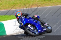 anglesey;brands-hatch;cadwell-park;croft;donington-park;enduro-digital-images;event-digital-images;eventdigitalimages;mallory;no-limits;oulton-park;peter-wileman-photography;racing-digital-images;silverstone;snetterton;trackday-digital-images;trackday-photos;vmcc-banbury-run;welsh-2-day-enduro