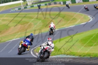anglesey;brands-hatch;cadwell-park;croft;donington-park;enduro-digital-images;event-digital-images;eventdigitalimages;mallory;no-limits;oulton-park;peter-wileman-photography;racing-digital-images;silverstone;snetterton;trackday-digital-images;trackday-photos;vmcc-banbury-run;welsh-2-day-enduro