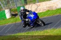 anglesey;brands-hatch;cadwell-park;croft;donington-park;enduro-digital-images;event-digital-images;eventdigitalimages;mallory;no-limits;oulton-park;peter-wileman-photography;racing-digital-images;silverstone;snetterton;trackday-digital-images;trackday-photos;vmcc-banbury-run;welsh-2-day-enduro