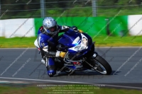 anglesey;brands-hatch;cadwell-park;croft;donington-park;enduro-digital-images;event-digital-images;eventdigitalimages;mallory;no-limits;oulton-park;peter-wileman-photography;racing-digital-images;silverstone;snetterton;trackday-digital-images;trackday-photos;vmcc-banbury-run;welsh-2-day-enduro