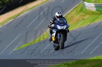 anglesey;brands-hatch;cadwell-park;croft;donington-park;enduro-digital-images;event-digital-images;eventdigitalimages;mallory;no-limits;oulton-park;peter-wileman-photography;racing-digital-images;silverstone;snetterton;trackday-digital-images;trackday-photos;vmcc-banbury-run;welsh-2-day-enduro