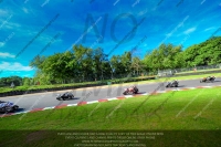 Fast Black/Silver Bikes