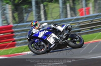 Yellow Inter Blue/White Bikes