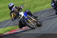 Novice Blue/White Bikes