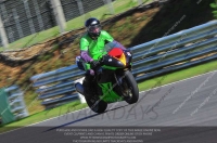 Novice Green/Yellow Bikes