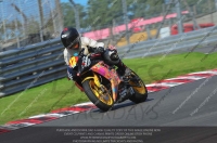 brands-hatch-photographs;brands-no-limits-trackday;cadwell-trackday-photographs;enduro-digital-images;event-digital-images;eventdigitalimages;no-limits-trackdays;peter-wileman-photography;racing-digital-images;trackday-digital-images;trackday-photos