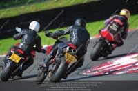 brands-hatch-photographs;brands-no-limits-trackday;cadwell-trackday-photographs;enduro-digital-images;event-digital-images;eventdigitalimages;no-limits-trackdays;peter-wileman-photography;racing-digital-images;trackday-digital-images;trackday-photos