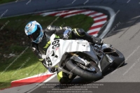 Fast Blue/White Bikes