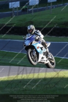 Evening Fast/Inter Blue/White Bikes