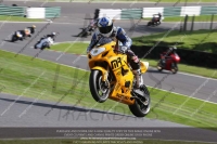 Fast Green/Yellow Bikes