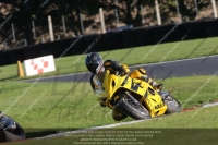 Evening Fast/Inter Green/Yellow Bikes