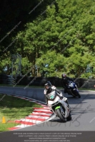 Novice Black/Silver Bikes