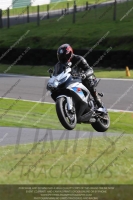 Novice Blue/White Bikes