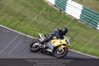Novice Green/Yellow Bikes