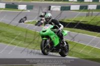 Green/Yellow Bikes
