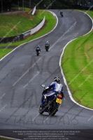 anglesey;brands-hatch;cadwell-park;croft;donington-park;enduro-digital-images;event-digital-images;eventdigitalimages;mallory;no-limits;oulton-park;peter-wileman-photography;racing-digital-images;silverstone;snetterton;trackday-digital-images;trackday-photos;vmcc-banbury-run;welsh-2-day-enduro